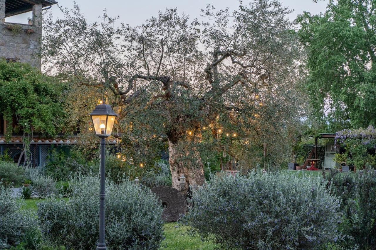 L'Olivo Country Resort & Spa Bassano in Teverina Buitenkant foto